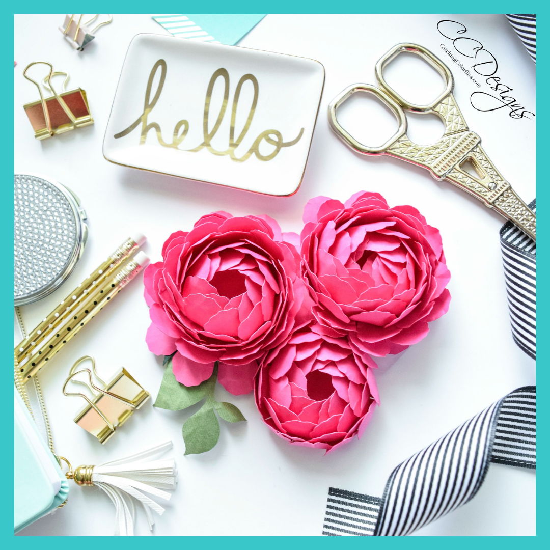 Abbi Kirsten 1 Project Image