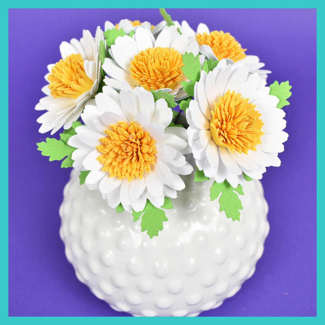 Abbi Kirsten 2 Project Image