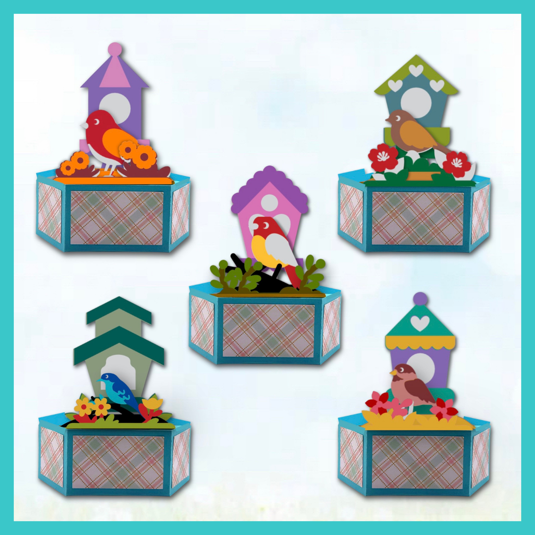 Nick Lupu-Karayanis VIP